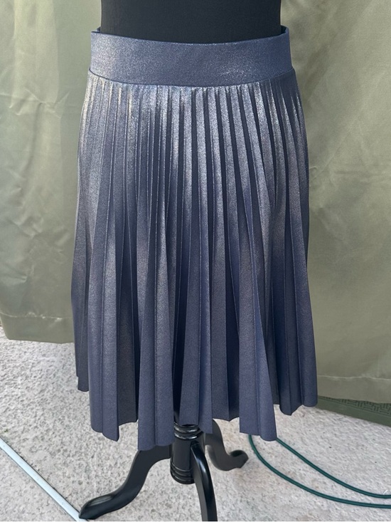 Simply Styled Dresses & Skirts - Simply Styled Metallic Pleated Circle Skirt in Shimmery Navy
